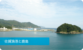 佐賀漁港と鹿島の写真